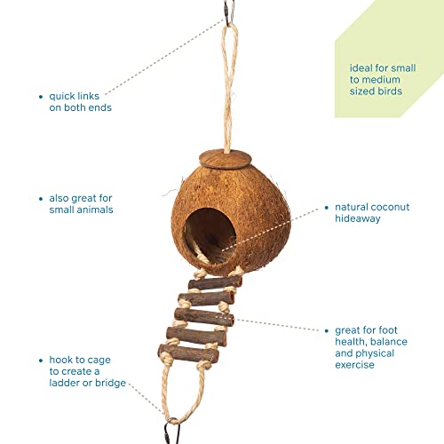 Prevue Hendryx 62801 Naturals Coco Hideaway with Ladder Bird Toy,1 Count (Pack of 1)