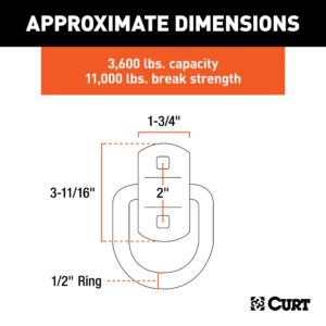 CURT 83742 3 x 3-Inch Surface-Mounted Trailer D-Ring Tie Down Anchor, 11,000 lbs Break Strength