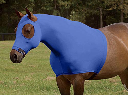 Sleazy Sleepwear For Horses Sleazy Hood Blue M