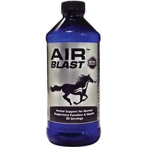equiade air blast horse respiratory supplement 16oz bottle 16oz