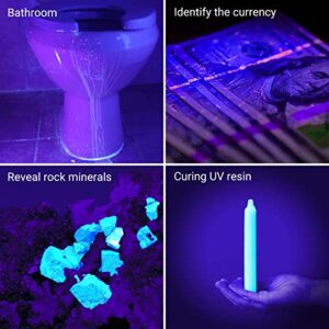 UV Flashlight Black Light, LOFTEK 51 LED 395 nm Blacklight Flashlite Pet Urine Detector for Dog Urine, Dry Stains, Bed Bug, Scorpion, Matching with Pet Odor Eliminator