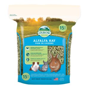 Oxbow Animal Health Alfalfa Hay, For Rabbits, Guinea Pigs, And Small Pets, Grown In The USA, Hand-Selected And Hand-Sorted, 15 Ounce