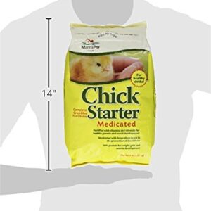 Manna Pro birds Chick Starter | Medicated Chick Feed Formulated with Amprolium | Prevents Coccidiosis | Feed Crumbles | 5 Pounds
