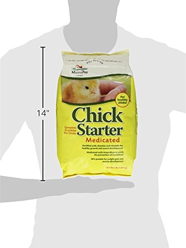 Manna Pro birds Chick Starter | Medicated Chick Feed Formulated with Amprolium | Prevents Coccidiosis | Feed Crumbles | 5 Pounds