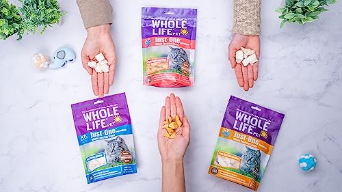 Whole Life Pet Just One Turkey - Cat Treat Or Topper - Human Grade, Freeze Dried, One Ingredient - Protein Rich, Grain Free, Made in The USA