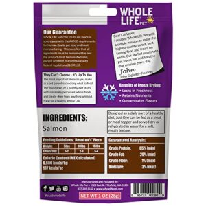 Whole Life Pet Just One Salmon - Cat Treat Or Topper - Human Grade, Freeze Dried, One Ingredient - Protein Rich, Grain Free, Made in The USA