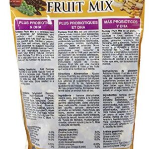 Sun Seed Company BSS59305 Fantasy Fruit Mix Cockatiel Treats Pouch, 11-Ounce