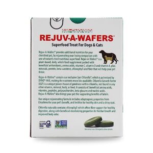 Sun Chlorella Rejuv-A-Wafers Daily Dog Cat & Animal Superfood Supplement - Green Microalgae & Eleuthero Bits - Vitamins, Minerals, Antioxidants Support Immune Defense, Gut Health - 60 Wafers