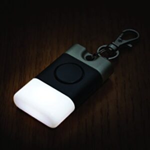 Xodus Innovations BL300 Easy to Find Always Glowing LED Key Chain Purse Light with Flashlight