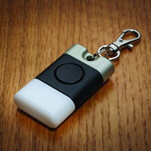 Xodus Innovations BL300 Easy to Find Always Glowing LED Key Chain Purse Light with Flashlight