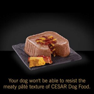 CESAR Wet Dog Food Loaf & Topper in Sauce Rotisserie Chicken Flavor with Bacon & Cheese, (24) 3.5 oz. Easy Peel Trays