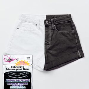 Tulip Permanent Fabric Dye- Black (26588)