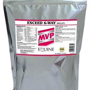 Med-Vet Pharmaceuticals Exceed 6-Way (8 lb) High Level Performance Horse Support