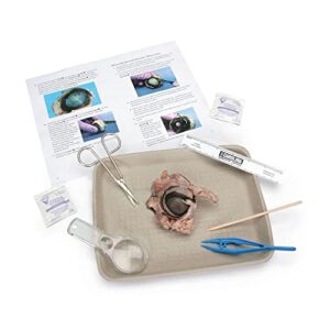 young scientist's eye dissection kit