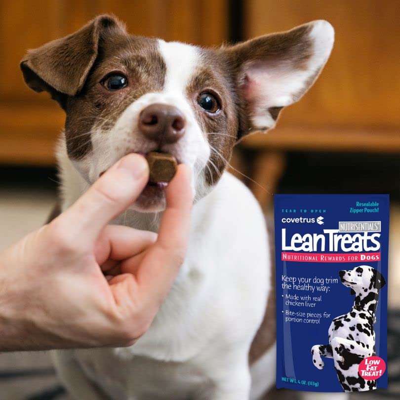 Covetrus Nutrisential Lean Treats for Dogs - Soft Dog Treats for Small, Medium & Large Dogs - Nutritional Low Fat Bite Size K9 Treats - Chicken Flavor - 3 Pack - 4oz