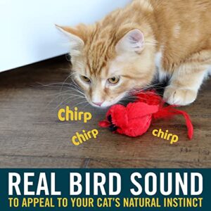 OurPets Play-N-Squeak Real Birds Interactive Cat Toys with Catnip (Cat Toys for Indoor Cats, Catnip Toys, Catnip Toys for Cats with Bird Chirping Electronic Sound and Feather)