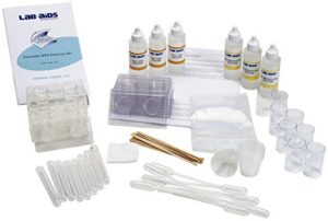 lab-aids strawberry dna extraction kit 79