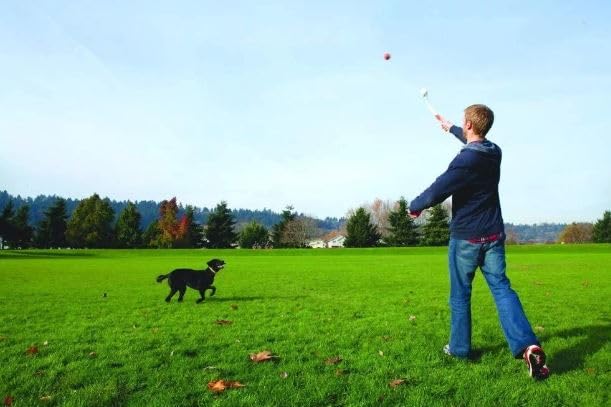 Chuckit! Pro 25M Dog Ball Launcher, 25" Length, Includes Medium Ball (2.5") For Dogs 20-60 Pounds