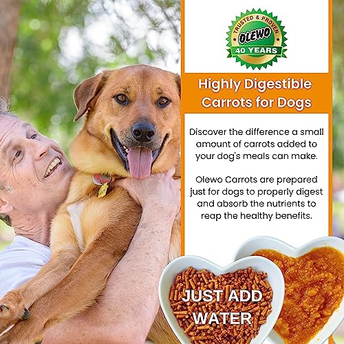 Olewo Original Carrots for Dogs – Fiber for Dogs Keep Poop Firm, Digestive Dog Food Topper, Skin & Coat Support, Dehydrated Whole Food Dog Multivitamin, Gut Health for Dogs, 2.2 lbs