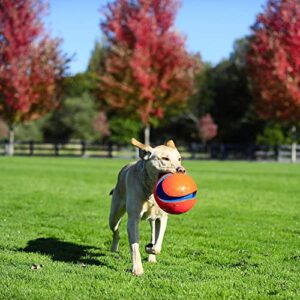 Chuckit! Kick Fetch Ball Dog Toy, Large (8 Inch)