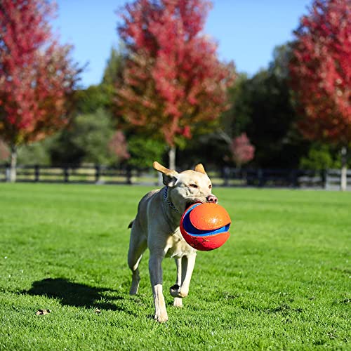 Chuckit! Kick Fetch Ball Dog Toy, Large (8 Inch)