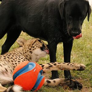 Chuckit! Kick Fetch Ball Dog Toy, Large (8 Inch)