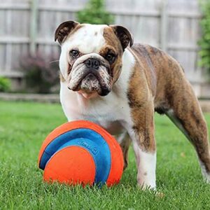 Chuckit! Kick Fetch Ball Dog Toy, Large (8 Inch)