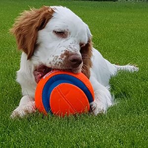 Chuckit! Kick Fetch Ball Dog Toy, Large (8 Inch)