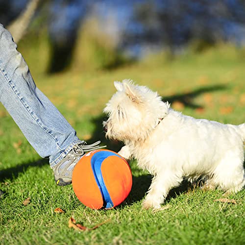 Chuckit! Kick Fetch Ball Dog Toy, Large (8 Inch)