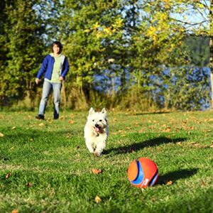 Chuckit! Kick Fetch Ball Dog Toy, Large (8 Inch)