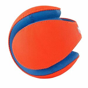 Chuckit! Kick Fetch Ball Dog Toy, Large (8 Inch)