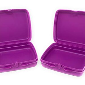 Sandwich Keeper Set in Purple By Tupperware