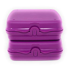 Sandwich Keeper Set in Purple By Tupperware