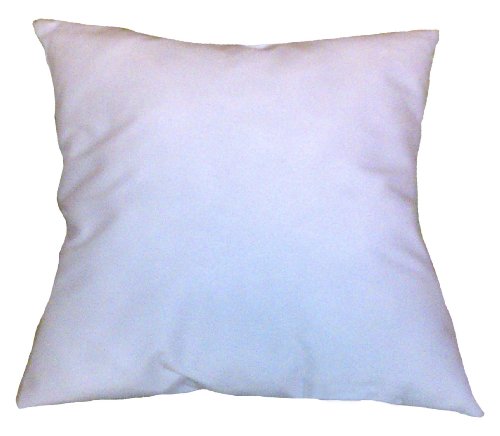 ReynosoHomeDecor 24x34 Pillow Insert Form