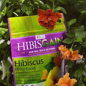 BGI HIBISGAIN 10lb Bag, Hibiscus Fertilizer