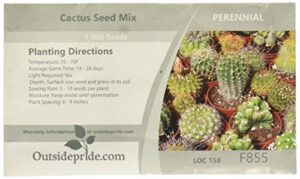 outsidepride succulent cactus drought tolerant garden plant seed mix - 1000 seeds