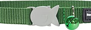 Red Dingo Classic Cat Collar, One Size Fits All, Green