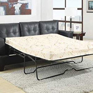 Coaster Home Furnishings Samuel Sleeper Sofa Black