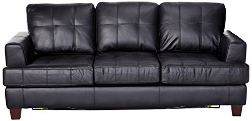 Coaster Home Furnishings Samuel Sleeper Sofa Black