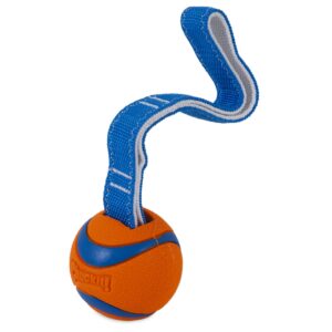 Chuckit! Ultra Tug Dog Toy, Medium Fetch and Dog Ball Tug Toy for Dogs 20-60 Pounds