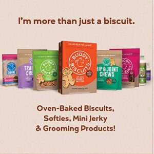 Buddy Biscuits Grain Free Soft & Chewy Dog Treats, Small Dog or Large Dogs Training with Peanut Butter 5 Oz