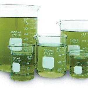 Corning Pyrex Griffin Low Form Corning Beaker Set (Set of 5)