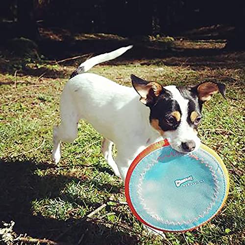 ChuckIt! Paraflight Flyer Dog Frisbee Toy Floats On Water; Gentle On Dog's Teeth And Gums; Large