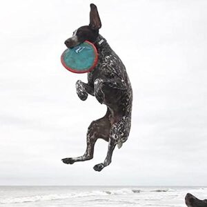 ChuckIt! Paraflight Flyer Dog Frisbee Toy Floats On Water; Gentle On Dog's Teeth And Gums; Large