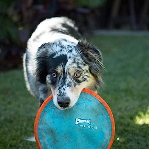 ChuckIt! Paraflight Flyer Dog Frisbee Toy Floats On Water; Gentle On Dog's Teeth And Gums; Large