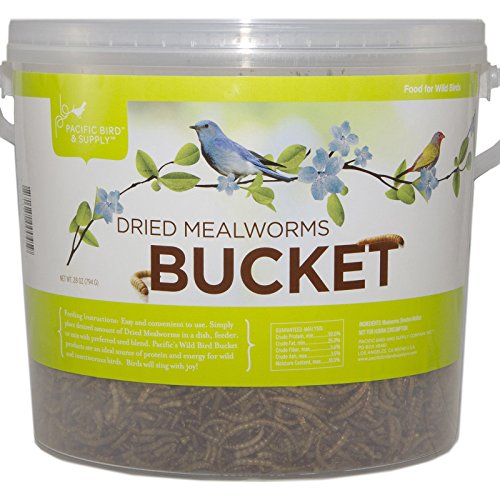 Pacific Bird & Supply Co. Dried Mealworm Bucket, 14.0oz