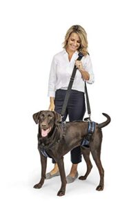 petsafe carelift support harness - full body dog lift harness with handle & shoulder sling - great for elderly dogs, hip dysplasia, acl surgery - designed to help them up - adjustable - large