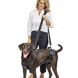 PetSafe CareLift Support Harness - Full Body Dog Lift Harness with Handle & Shoulder Sling - Great for Elderly Dogs, Hip Dysplasia, ACL Surgery - Designed to Help Them Up - Adjustable - Large