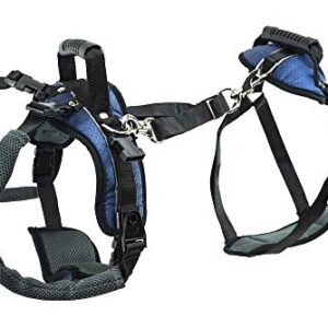 PetSafe CareLift Support Harness - Full Body Dog Lift Harness with Handle & Shoulder Sling - Great for Elderly Dogs, Hip Dysplasia, ACL Surgery - Designed to Help Them Up - Adjustable - Large