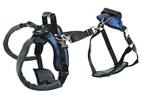 PetSafe CareLift Support Harness - Full Body Dog Lift Harness with Handle & Shoulder Sling - Great for Elderly Dogs, Hip Dysplasia, ACL Surgery - Designed to Help Them Up - Adjustable - Large